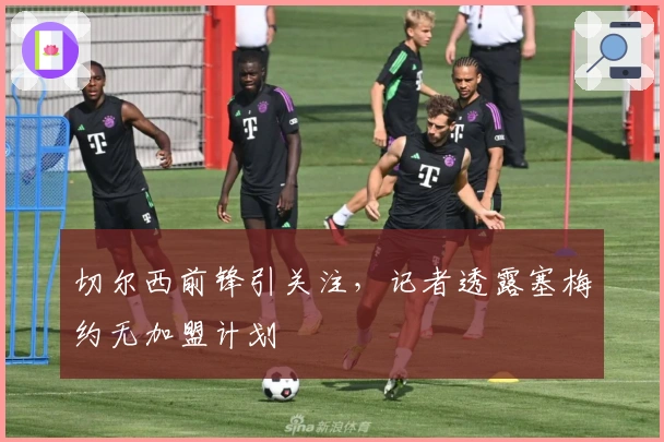 切尔西前锋引关注，记者透露塞梅约无加盟计划