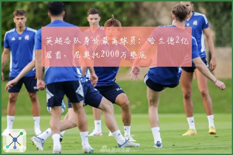 英超各队身价最高球员：哈兰德2亿居首，尼奥托2000万垫底