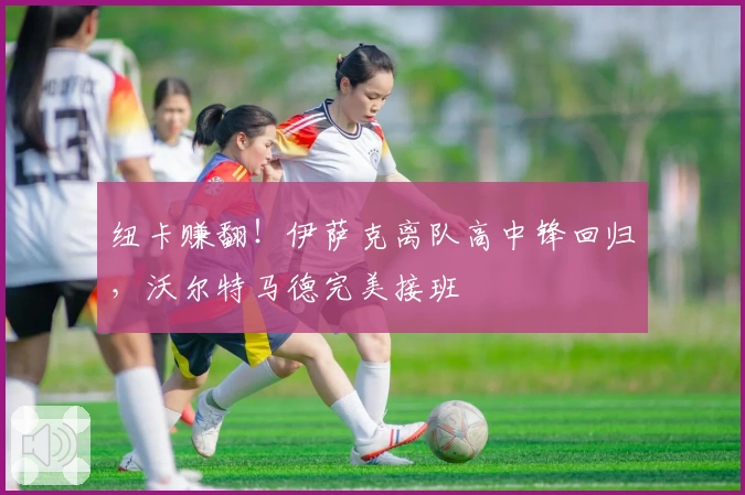 纽卡赚翻！伊萨克离队高中锋回归，沃尔特马德完美接班